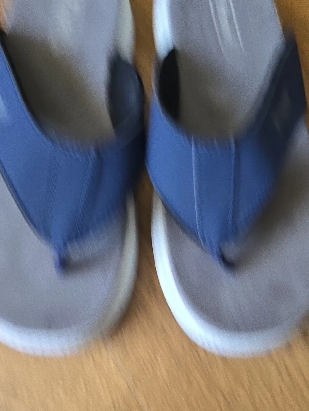 NWOT Propet Mens Navy and Gray Thong Sandals